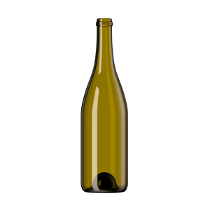 4211 DLG 750ml Wine Bottle