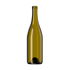 4221 750ml Wine Bottle