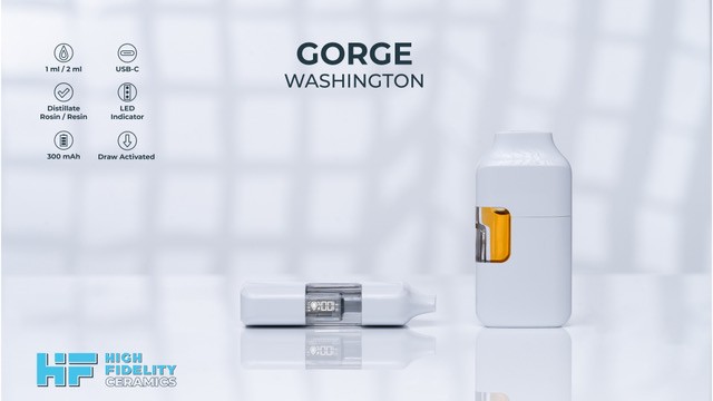 Gorge 1 | 2 ml AIO (Washington)